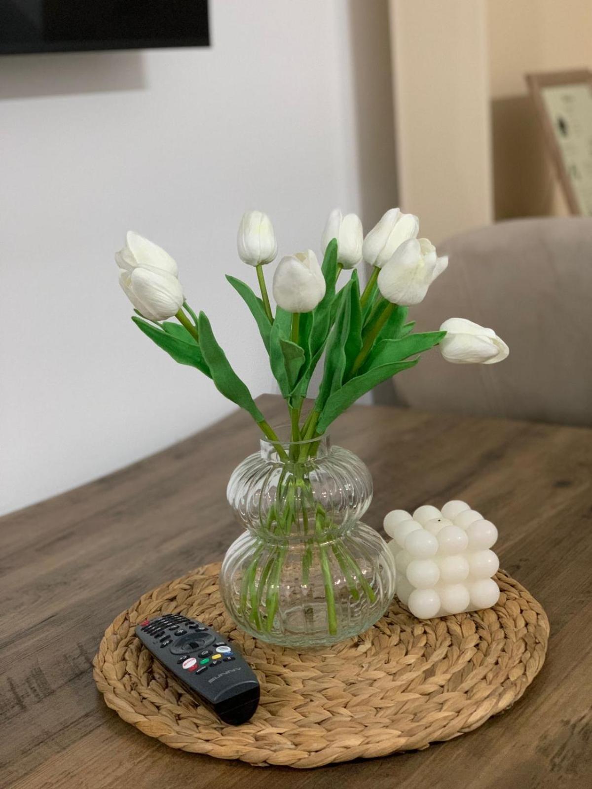 Ridi'S Comfort Apartment 2 Шкодер Екстер'єр фото
